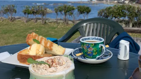Mare in จังหวัดฟุกุอิ