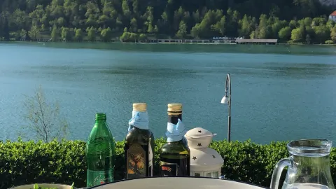 Vila Ajda Bled in Bled