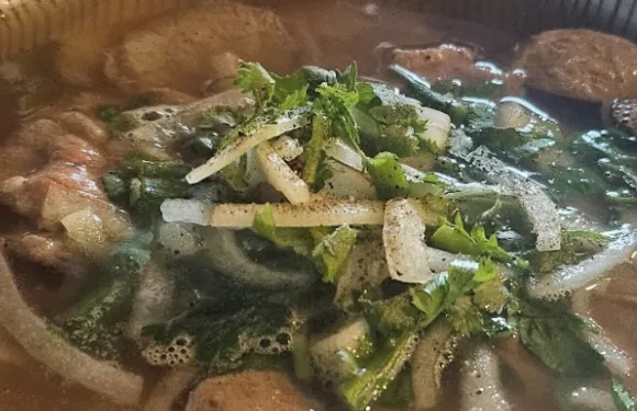 Xin Chào