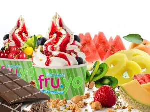 Frozen FruYo (Fruits n' Yoghurt)