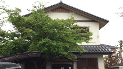 Hiyama in อุสึโนมิยะ