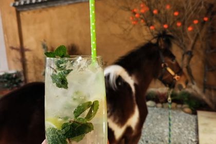 七熙·叁安民宿(沙溪古镇店)·七熙-叁安小酒馆