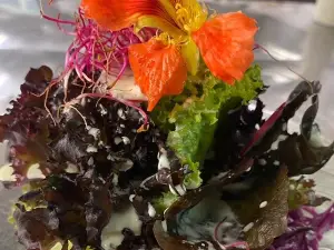 Hotel-Restaurant National