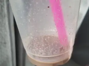 Jasper Java