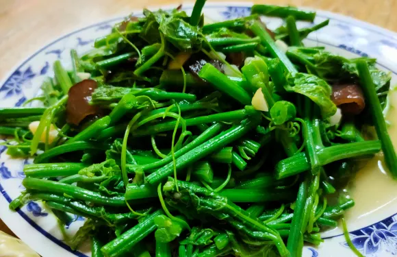 Yuan Xiang Shitang Mei Shi Can Ting