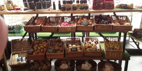 HIVE Urban Farm Shop