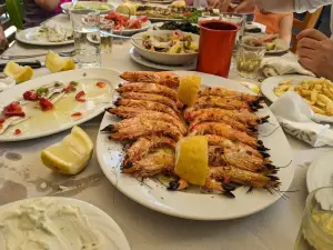 Treli Garida