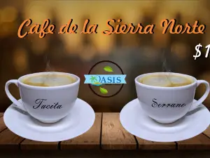 Oasis Bebidas Frutales