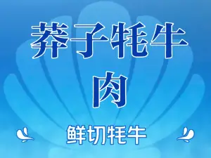 莽子牦牛肉
