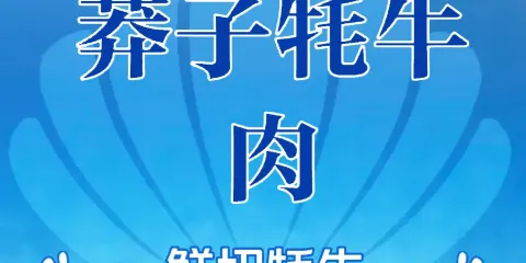 莽子犛牛肉