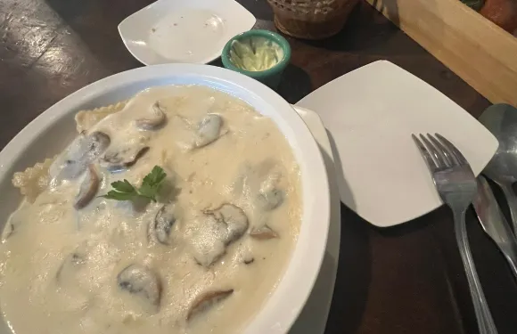 Pastas Trigo