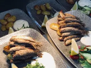 Savonlinnan Seurahuone Ravintola Terassi Muikkubaari