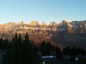 Tannenboden