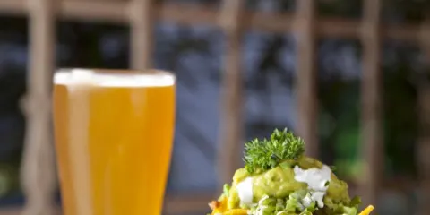 Arbor Brewing Company India