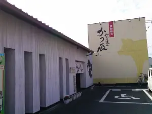 Katsutatsu Katano