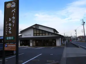 Maple Keyaki