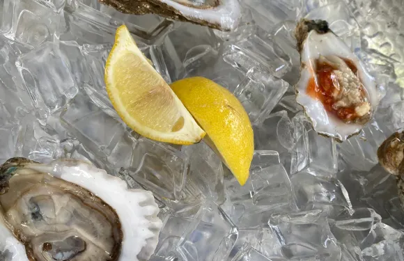 OP Fish House & Oyster Bar