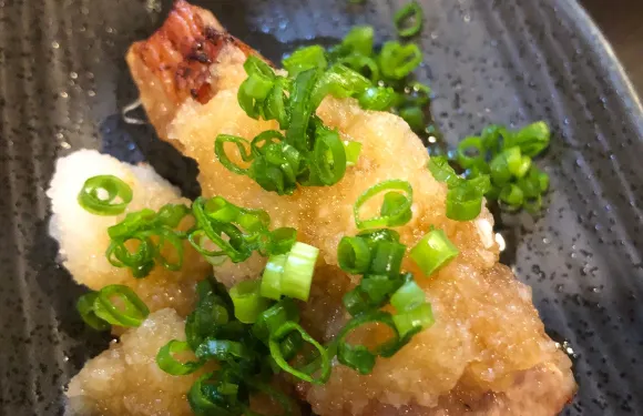 Binchotan Yakitori Guya