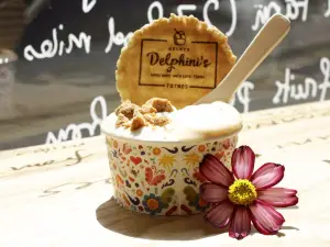 Delphini's Gelato