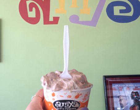 Amy's Ice Creams