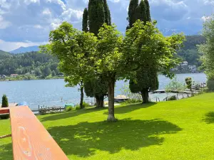 Haifischbar