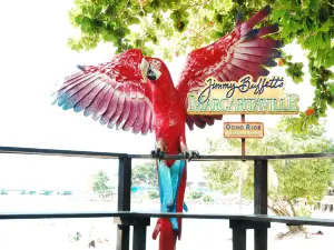Margaritaville Ocho Rios