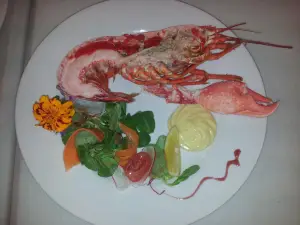 Fasila