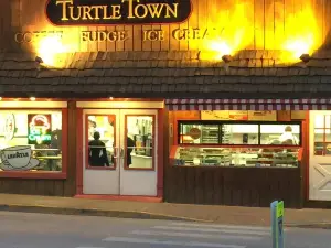 Turtle Town