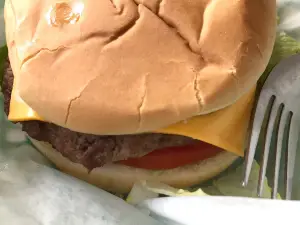 Burger Land