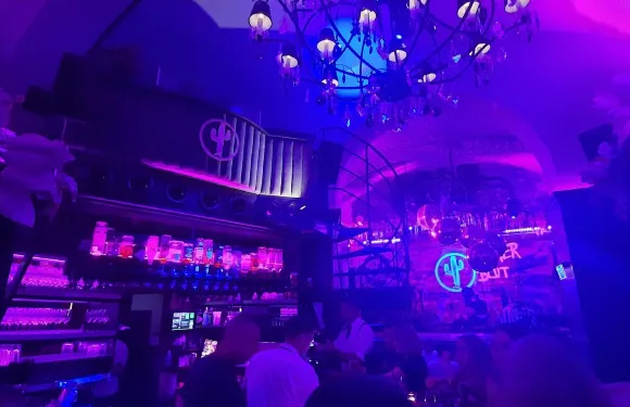 Kaktus Bar