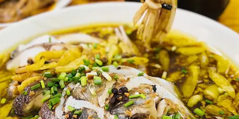 黃七甲胖子魚頭