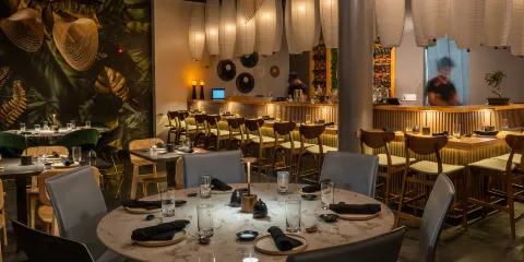 Amazonia Nikkei - Miami Lakes