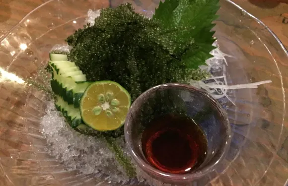 Uomachiya Bubuka