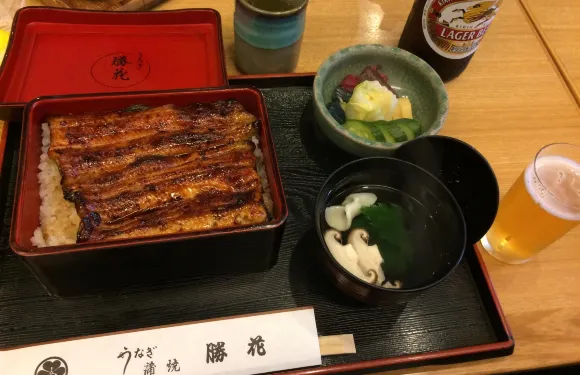 Unagi Katsuhana