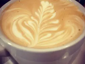 The Coffee Company