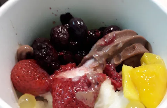 Angel Janes Frozen Yogurt and Snacks
