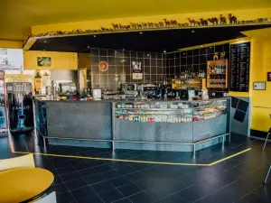 Camel Cafe Curia