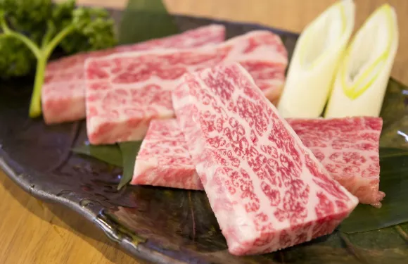 Shichirin Sumibi Yakiniku Kochan