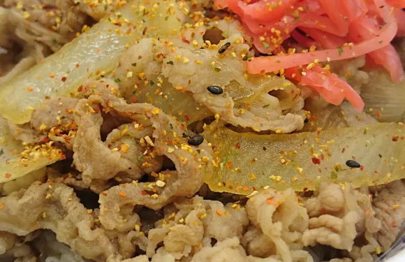 Yoshinoya Yonago City Hall Mae