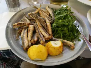 Aiolos Tavern