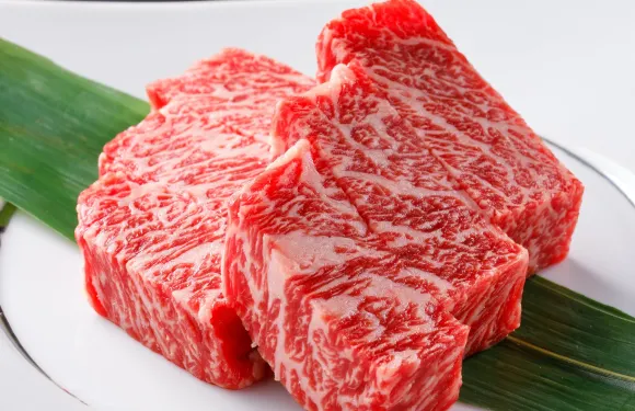 Yakiniku Yasufuku Honten