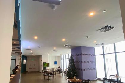 The Majestic Pizza: Crafted with Love