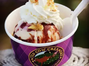 Wild Cow Creamery