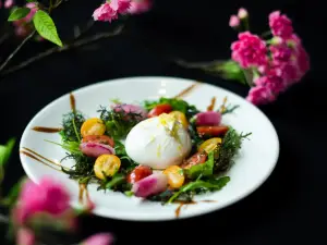 Gourmet Bar Restaurant