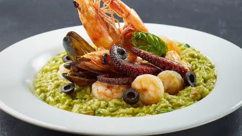 Zircus Lounge & Restaurant in 昆卡