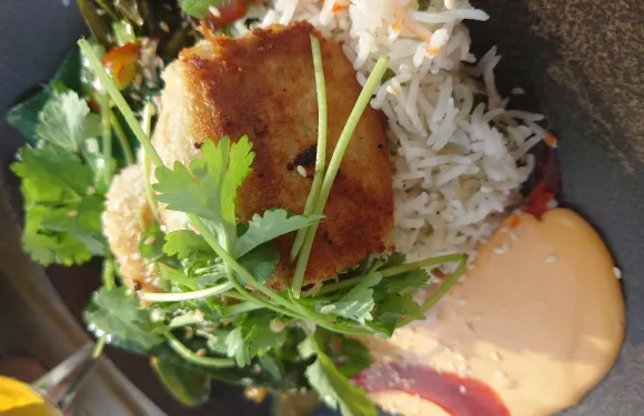 Stora Hjortstorps Gård