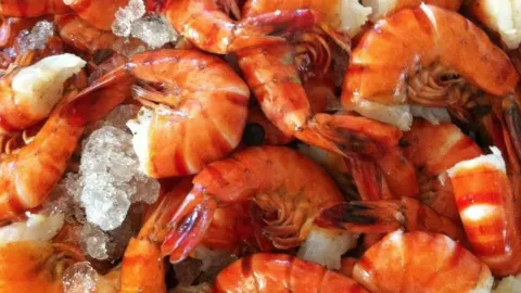 Maxie's Supper Club & Oyster Bar in Ithaca