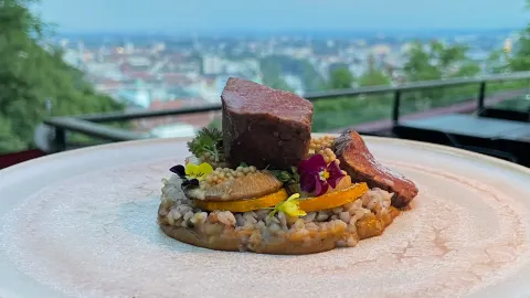 Starcke Haus in Styria