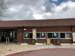 Kasagi Station