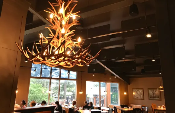 Antlers at the lodge